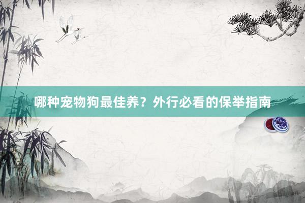 哪种宠物狗最佳养？外行必看的保举指南