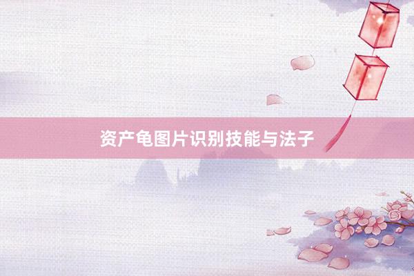 资产龟图片识别技能与法子