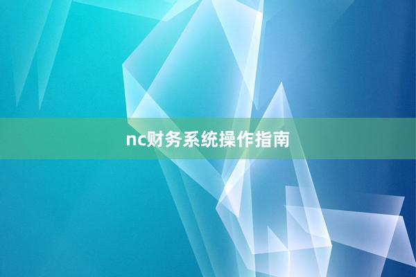 nc财务系统操作指南